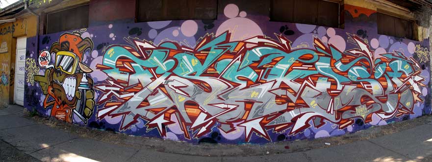 FISEKESIF-2013-Santiago